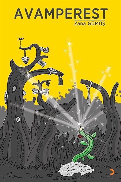 Cinius Yayınları Roman