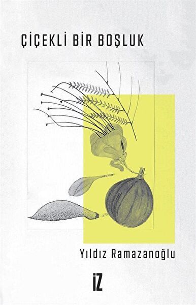 İz Yayıncılık Roman