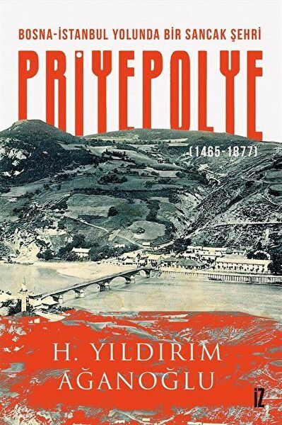 İz Yayıncılık Araştırma, Tarih