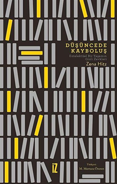 İz Yayıncılık Akademik Kitaplar