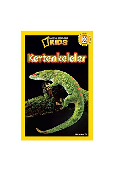 Beta Kids Aktivite ve Zeka Gelişim Kitapları