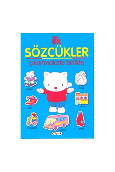 Çiçek Yayıncılık Aktivite ve Zeka Gelişim Kitapları