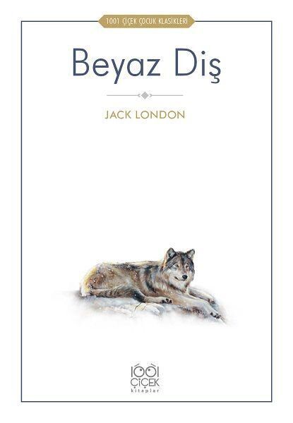 1001 Çiçek Kitaplar Çocuk Roman ve Klasikleri