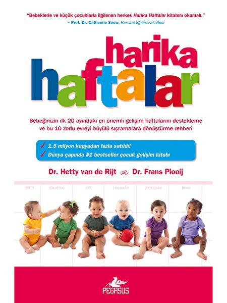 Pegasus Yayınları Bebek Bakım ve Aile