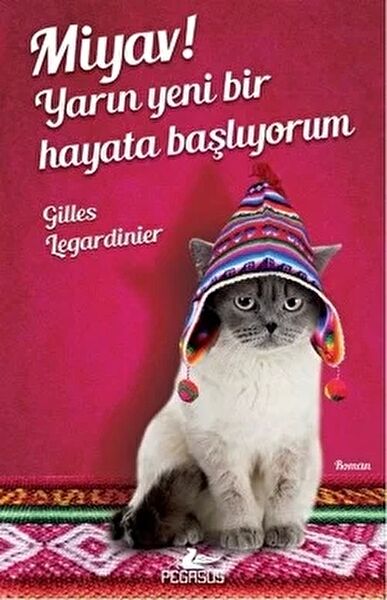 Pegasus Yayınları Roman