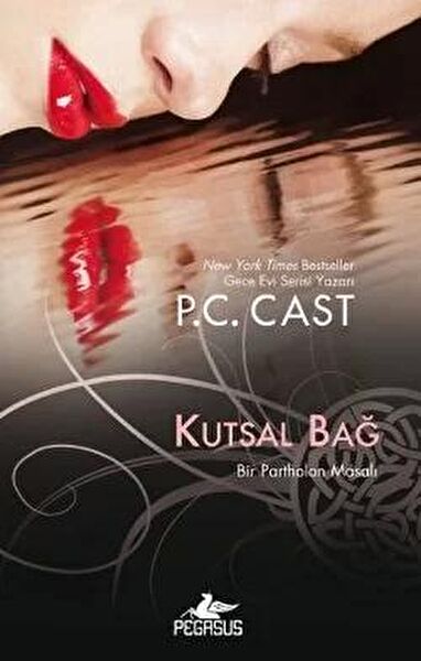 Pegasus Yayınları Roman