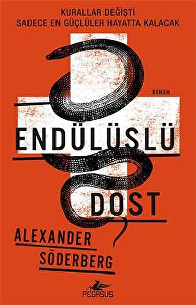 Pegasus Yayınları Roman