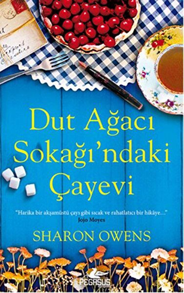 Pegasus Yayınları Roman