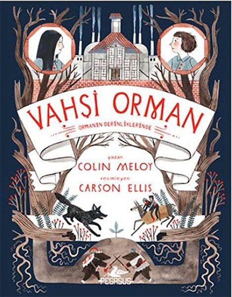 Pegasus Yayınları Roman