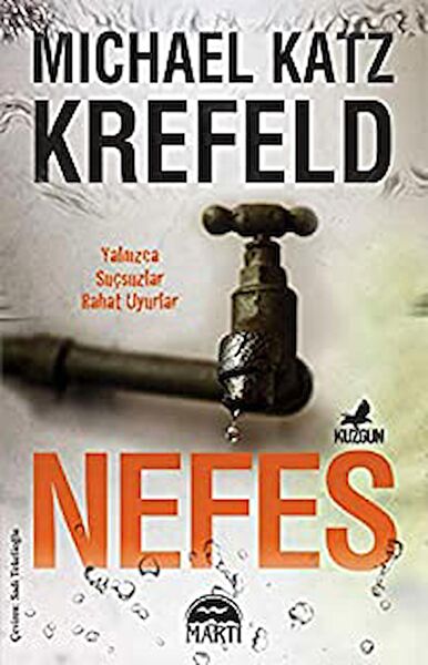 Martı Yayınları Roman