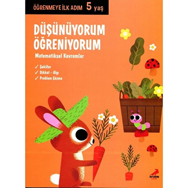 Erdem Çocuk Aktivite ve Zeka Gelişim Kitapları
