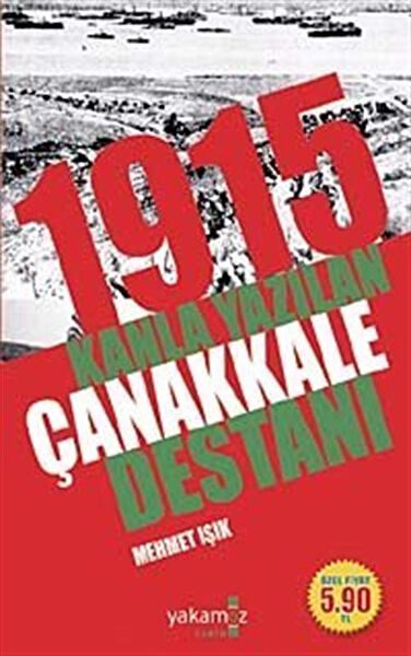 Yakamoz Yayınevi Araştırma, Tarih