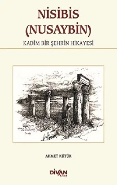 Divan Kitap Araştırma, Tarih