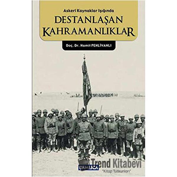 Çamlıca Basım Yayın Araştırma, Tarih