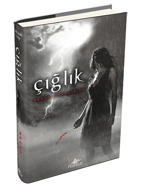 Pegasus Yayınları Roman