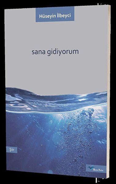 Başka Yerler Yayınevi Şiir