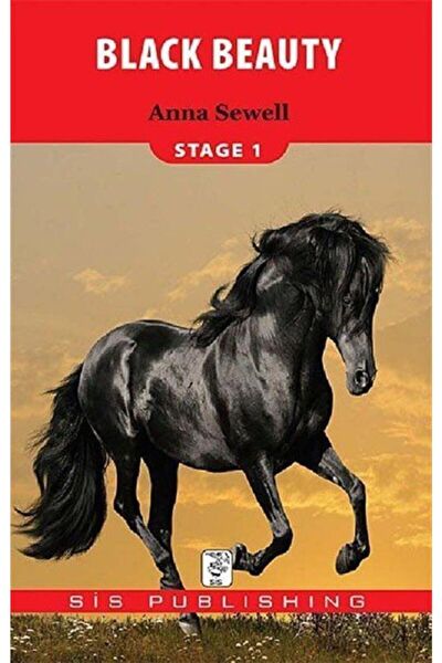 Sis Yayıncılık Roman