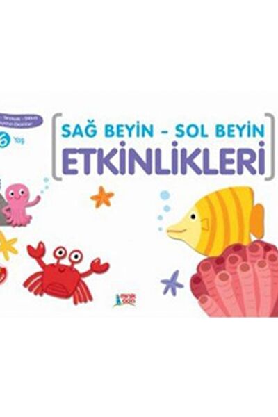 Minik Ada Aktivite ve Zeka Gelişim Kitapları