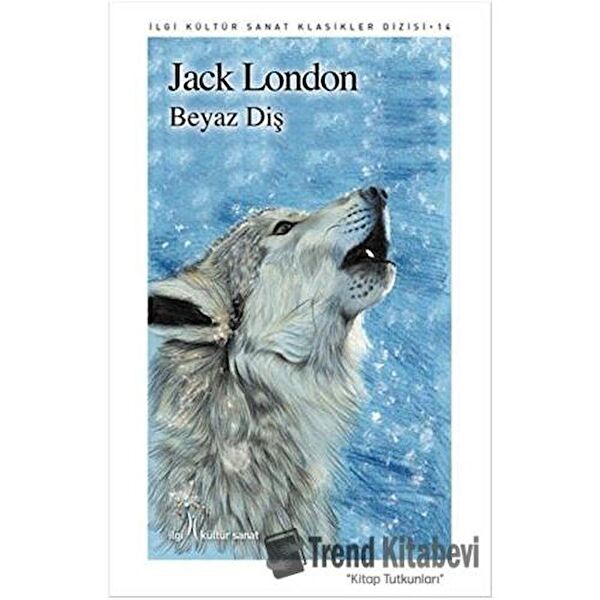 İlgi Kültür Sanat Yayınevi Roman