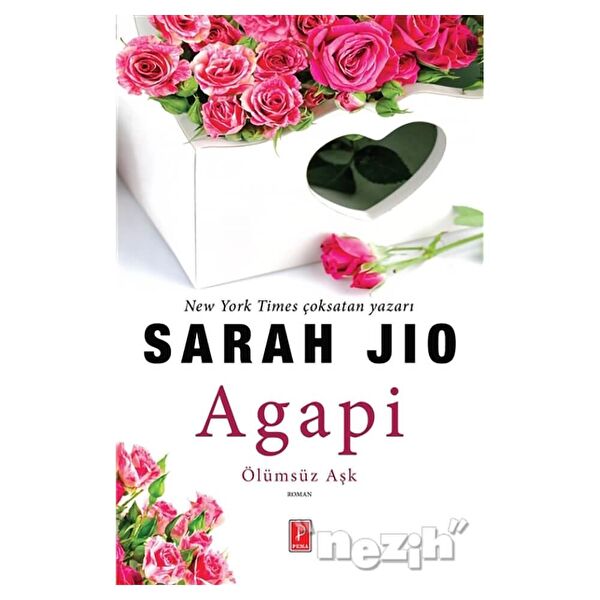 Pena Yayınları Roman