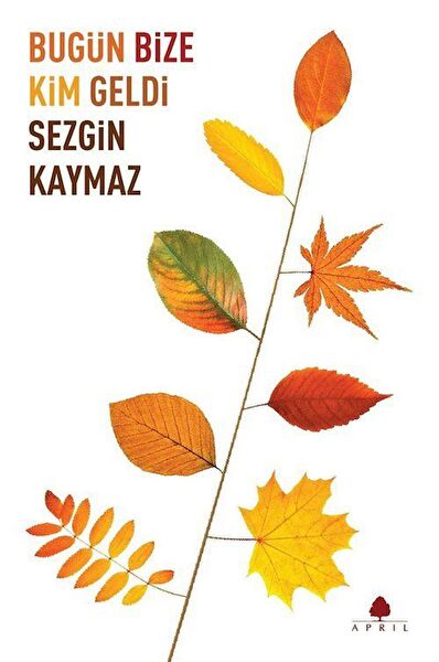 April Yayıncılık Roman