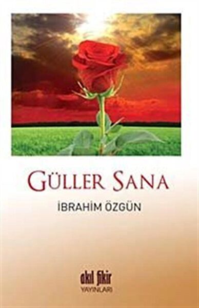 Akıl Fikir Yayınları Şiir