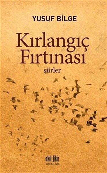 Akıl Fikir Yayınları Şiir