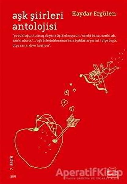 Kırmızı Kedi Yayınevi Şiir