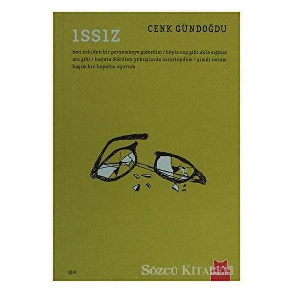 Kırmızı Kedi Yayınevi Roman