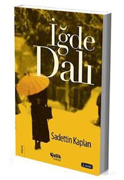 Çelik Yayınevi Roman