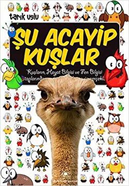 Uğurböceği Yayınları Çocuk Öykü, Masal
