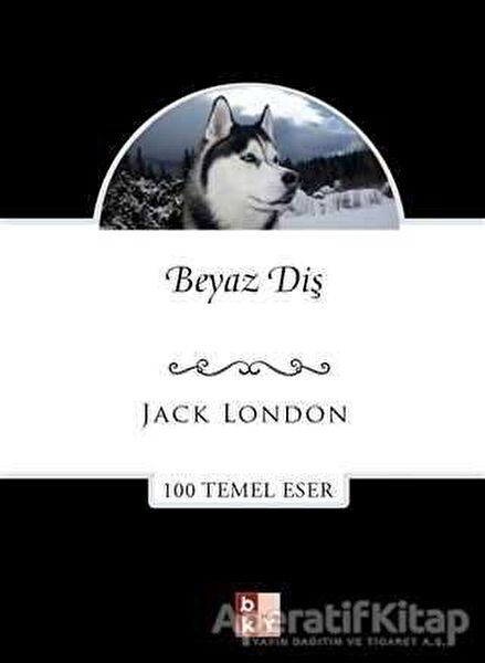 Babıali Kültür Yayıncılığı Dünya Edebiyatı