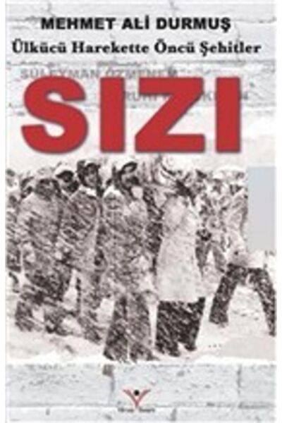 Yılmaz Basım Araştırma, Tarih