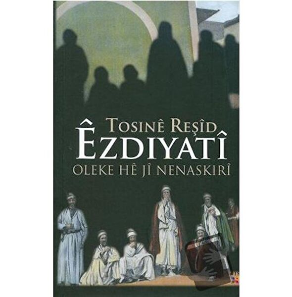 Lis Basın Yayın Araştırma, Tarih