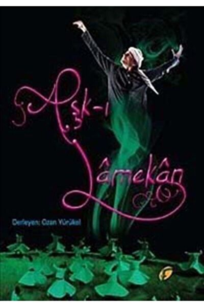 Frida Deneme, İnceleme