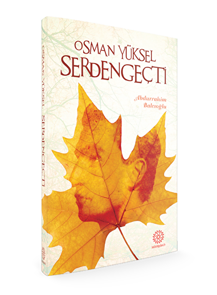 Mihrabad Yayınları Araştırma, Tarih