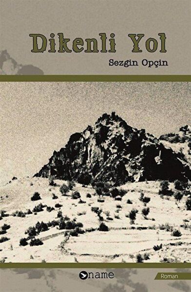 Name Yayınları Roman