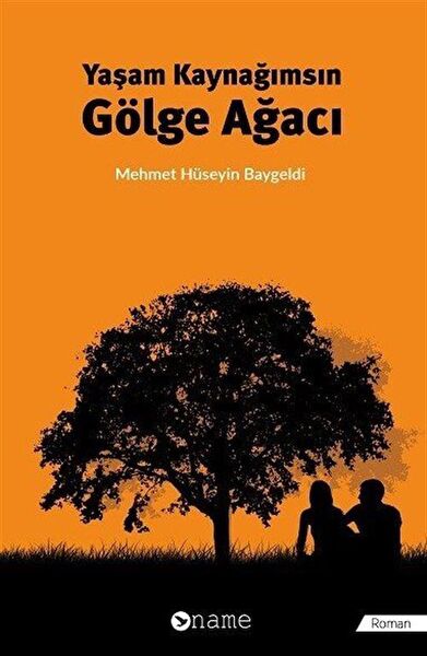 Name Yayınları Roman