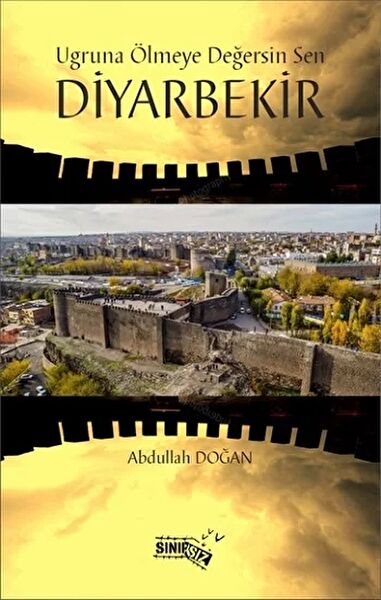 Sınırsız Kitap Roman