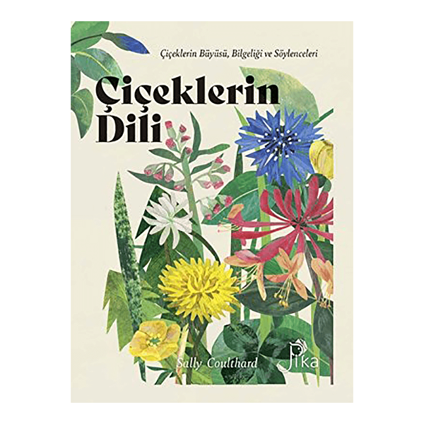 Pika Yayınevi Deneme, İnceleme