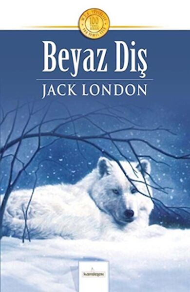 Kardelen Yayınları Dünya Edebiyatı