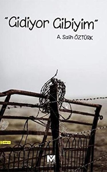 Mahi Kitap Deneme, İnceleme