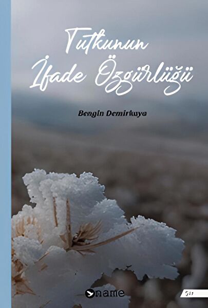 Name Yayınları Roman