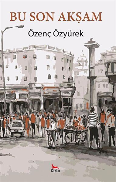 Ceylan Yayınları Roman