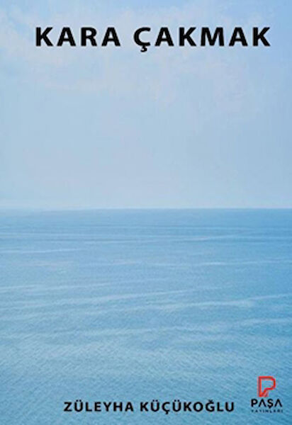 Paşa Yayınları Roman