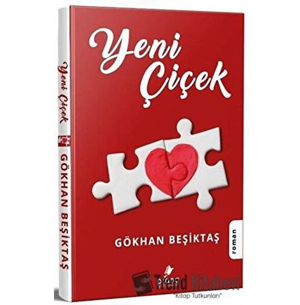 Prana Yayınları Roman