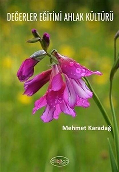 Dilkitap Yayınları Deneme, İnceleme