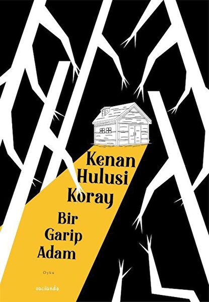 Vacilando Kitap Roman