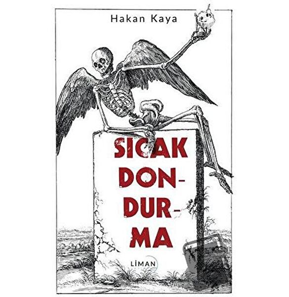 Liman Yayınevi Roman