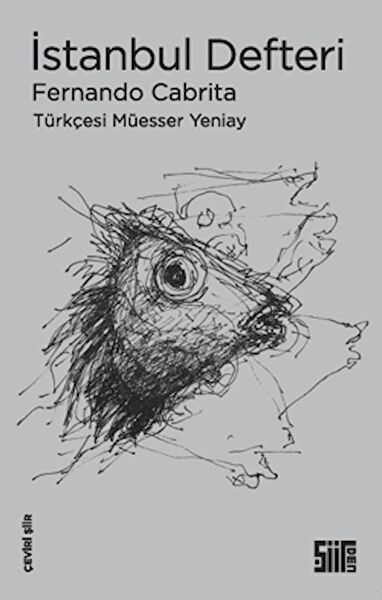 Şiirden Yayıncılık Şiir